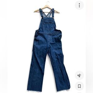 Patagonia vintage denim overalls (XS)